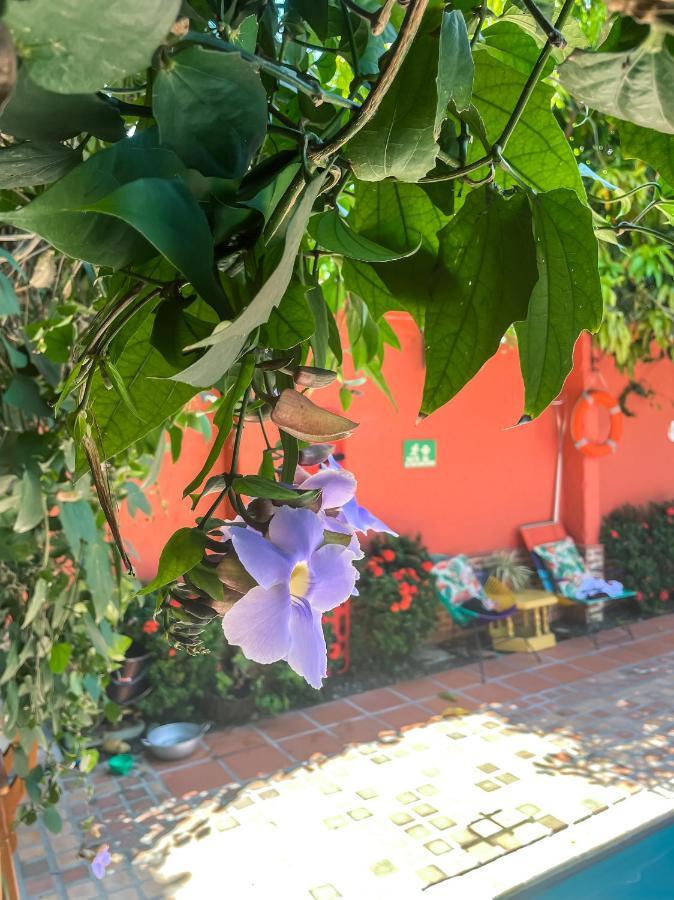 Hotel Casa De Verano - Solo Adultos - Santa Fe de Antioquia Exterior foto